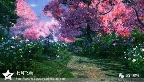 暗夜行驶者